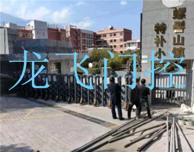 凉山彝族自治州西昌市螺髻山镇特补小学电动伸缩门 智能小门