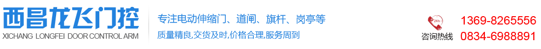西昌市龙飞门控经营部
